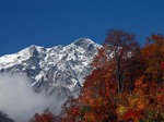 白馬岳 紅葉 .jpg