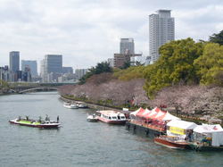 八軒家浜.jpg