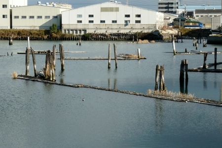 平林貯木場.jpg