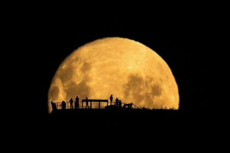 Moon Silhouettes.jpg